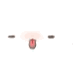contoh gambar lapangan bola basket mini Warna merah kelopaknya memudar, dan mekar menjadi abu-abu